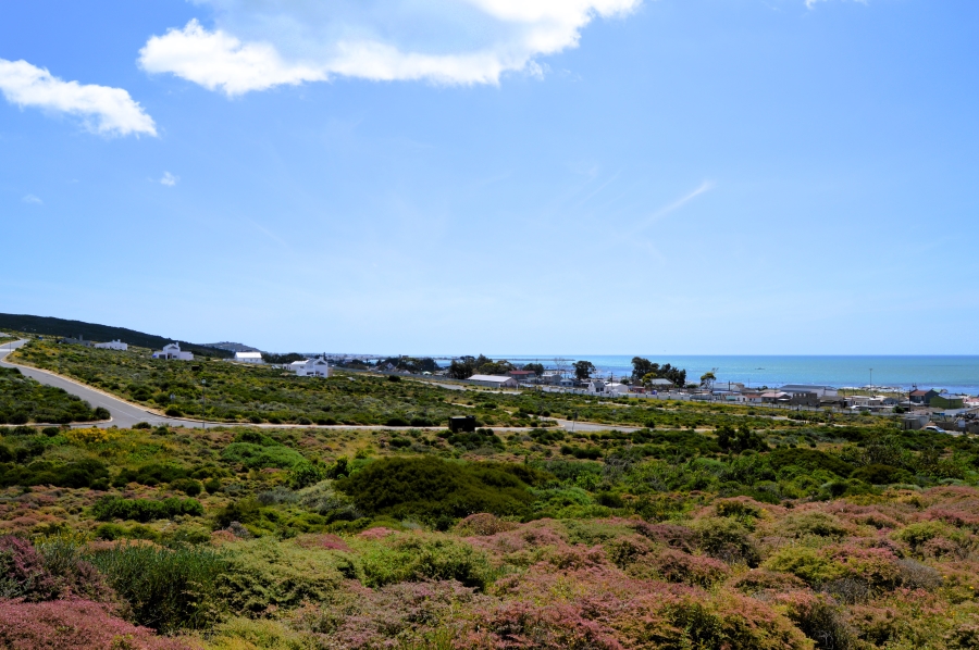 0 Bedroom Property for Sale in Steenbergs Cove Western Cape